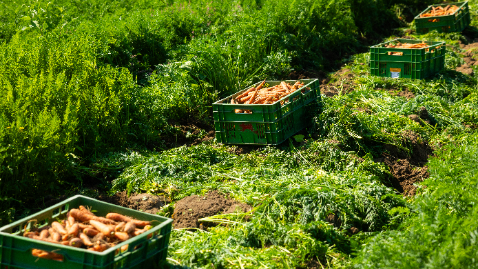 Lakefields Hundefutter