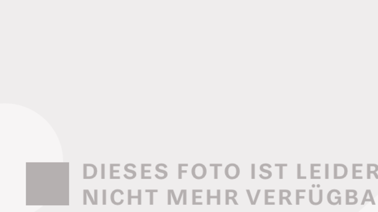 Kunstlerkarrieren Malen Und Auf Den Erfolg Hoffen