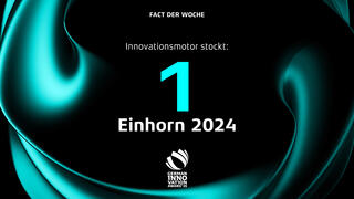 Rat für Formgebung Medien GmbH: Ein Einhorn 2024: Deutschlands Innovationsmotor stockt
