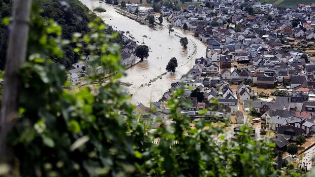 Blick durch Weinreben auf das Hochwasser der Ahr Quelle: imago images