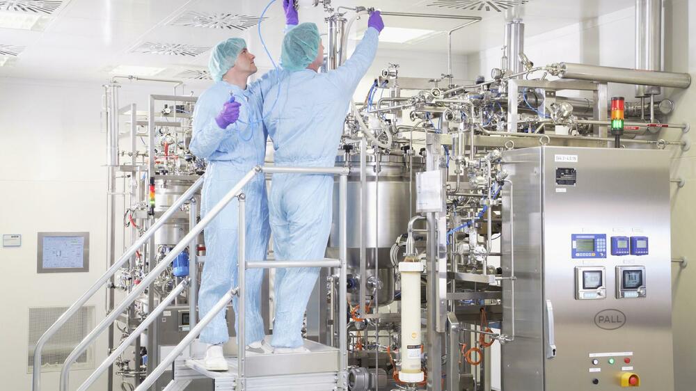 Dieser Trend Explodiert Die Diagnostik Setzt Die Pharmafabrik In Gang Sind Sie Dabei - 6s754ni