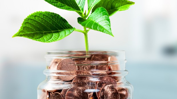 Wiso Steuer Sparbuch